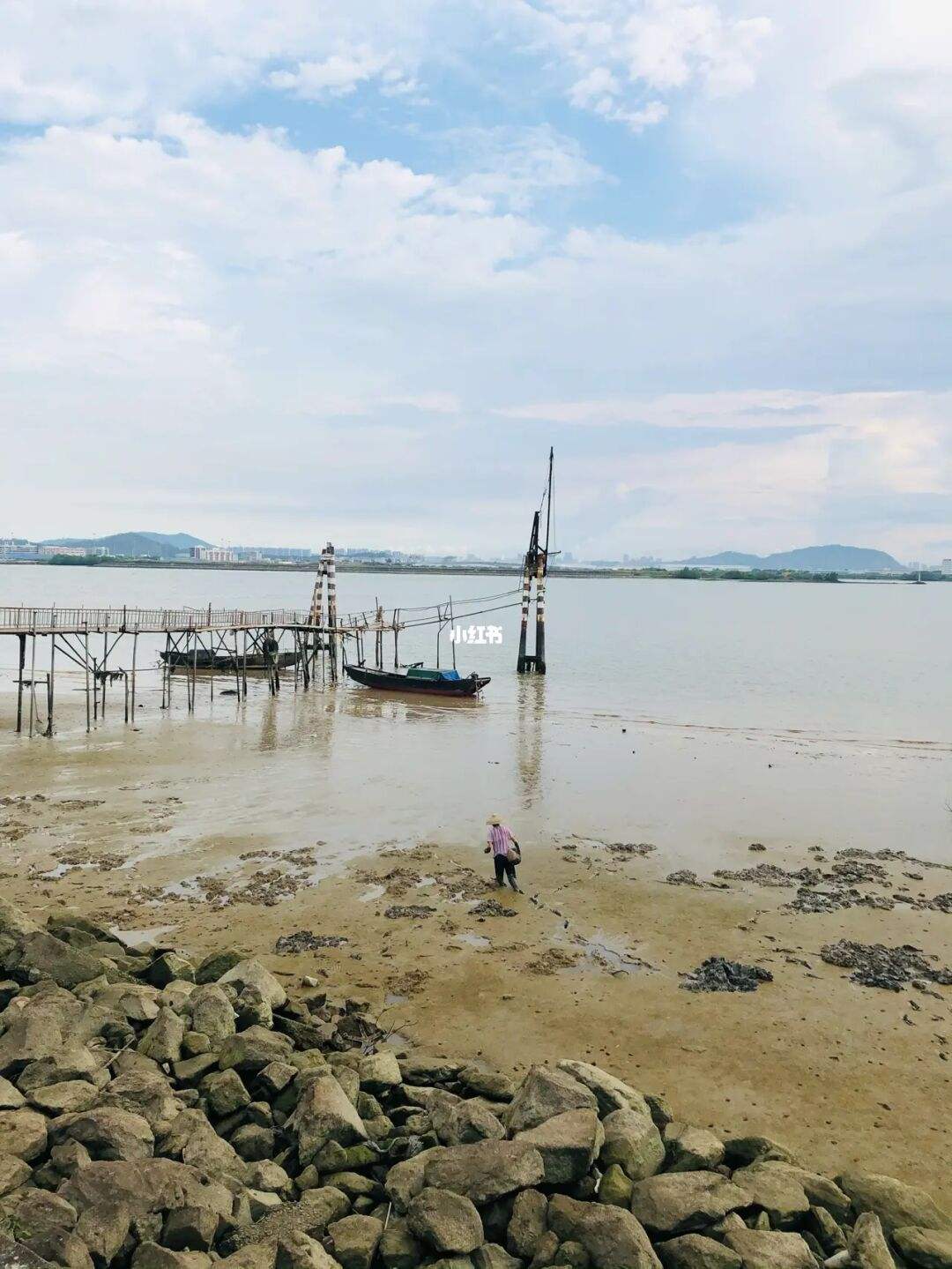 番禺海鸥岛(番禺海鸥岛面积)