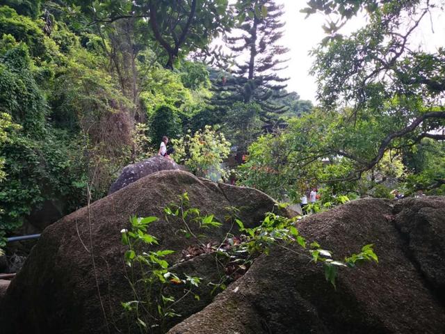 园山风景区好玩吗(园山风景区要门票吗?)