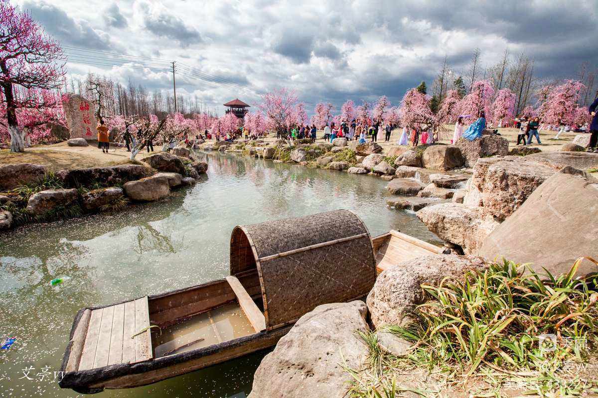 问花村(问花村广场舞)