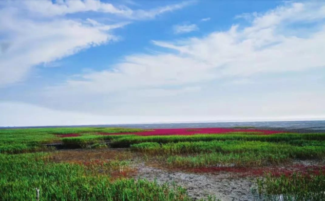 盘锦旅游攻略(盘锦旅游攻略必玩的景点4月)