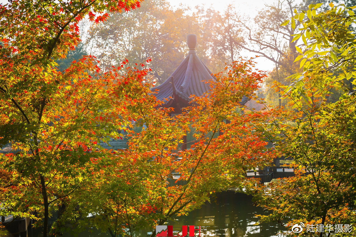 南京栖霞山门票(南京栖霞山门票需要预约吗)