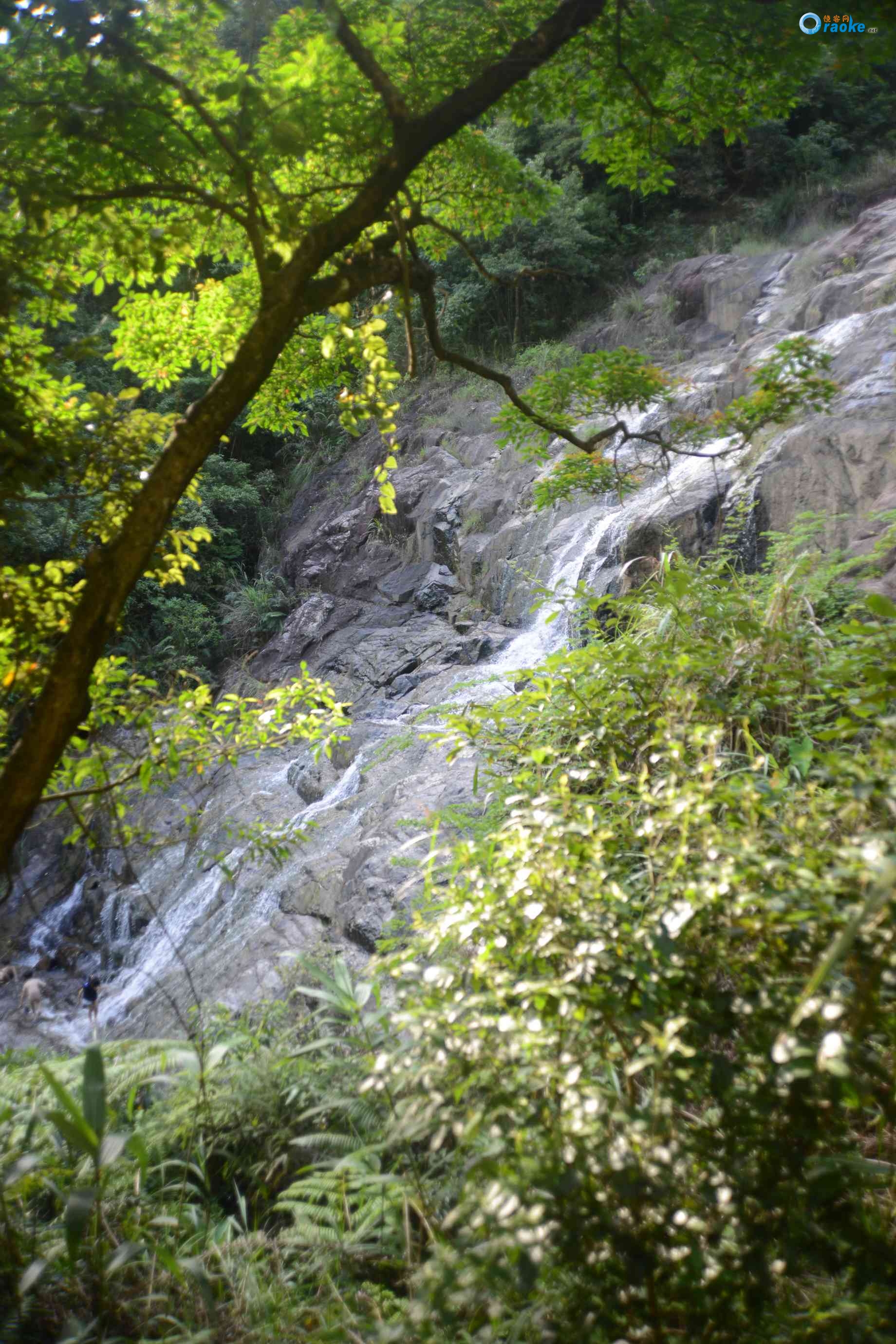 幽峪逸林(幽峪逸林旅游风景区门票)