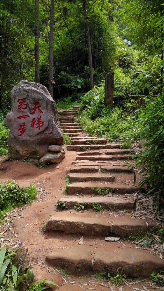 重庆江津爱情天梯(重庆江津爱情天梯山上末端原主人公住宅图片)