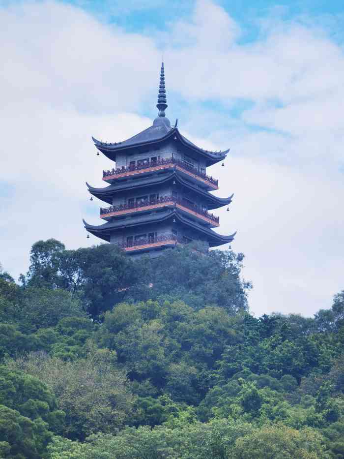 南海雷岗公园(南海雷岗公园高度多少米)