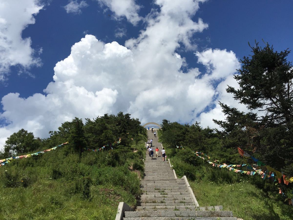 嘉陵江源头景区(嘉陵江源头景区门票)