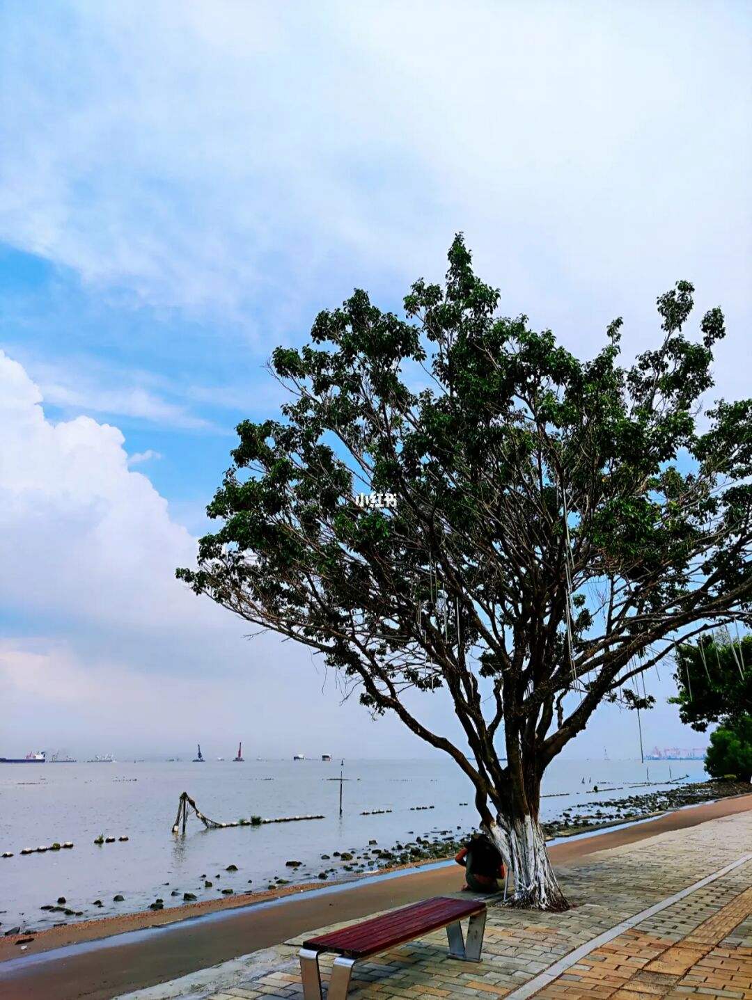 南沙滨海浴场(南沙滨海浴场还会扩大吗)