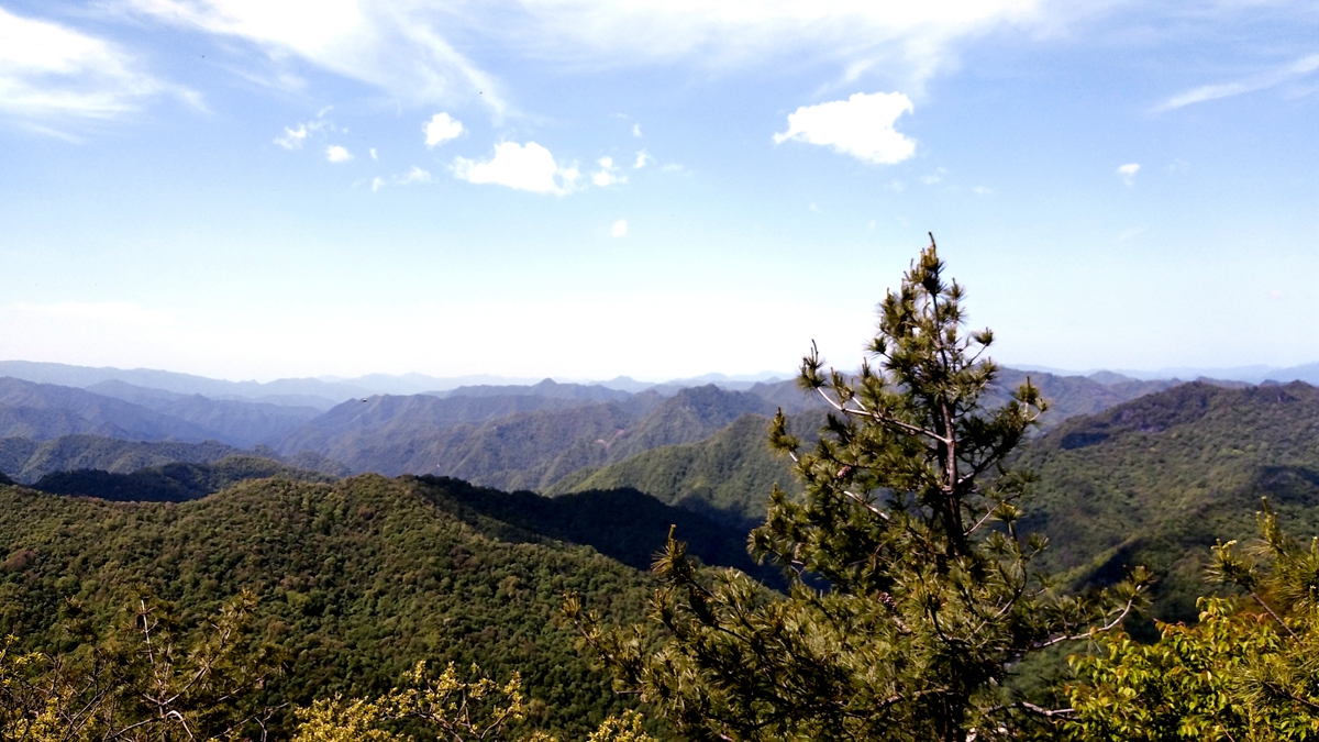 凤县紫柏山(凤县紫柏山和留坝紫柏山)