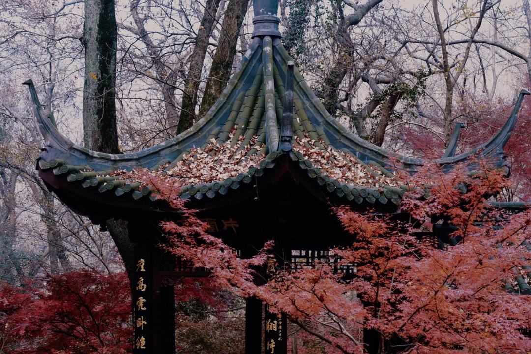 南京栖霞寺(南京栖霞寺求什么灵验)