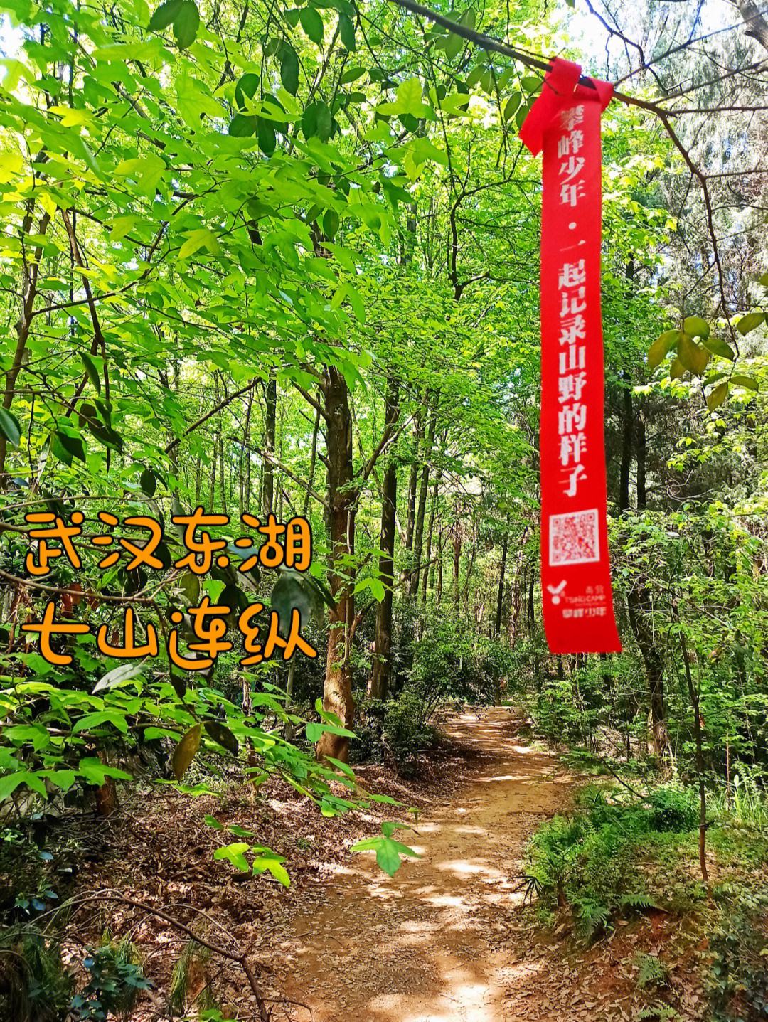 南望山(南望山小学校长)