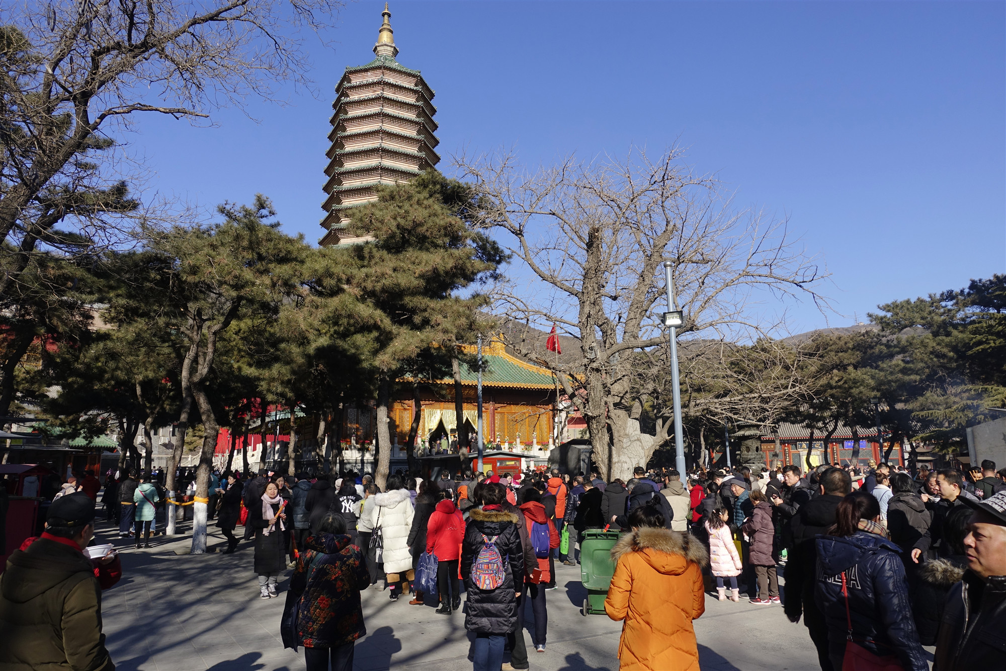 西山八大处灵光寺(北京西山八大处灵光寺)