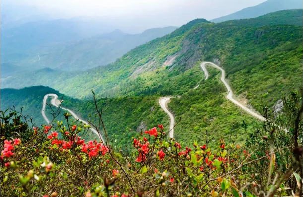 同安云顶山(同安云顶山海拔)