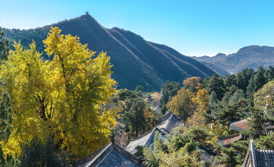 潭柘寺门票(潭柘寺门票可以现场买吗)