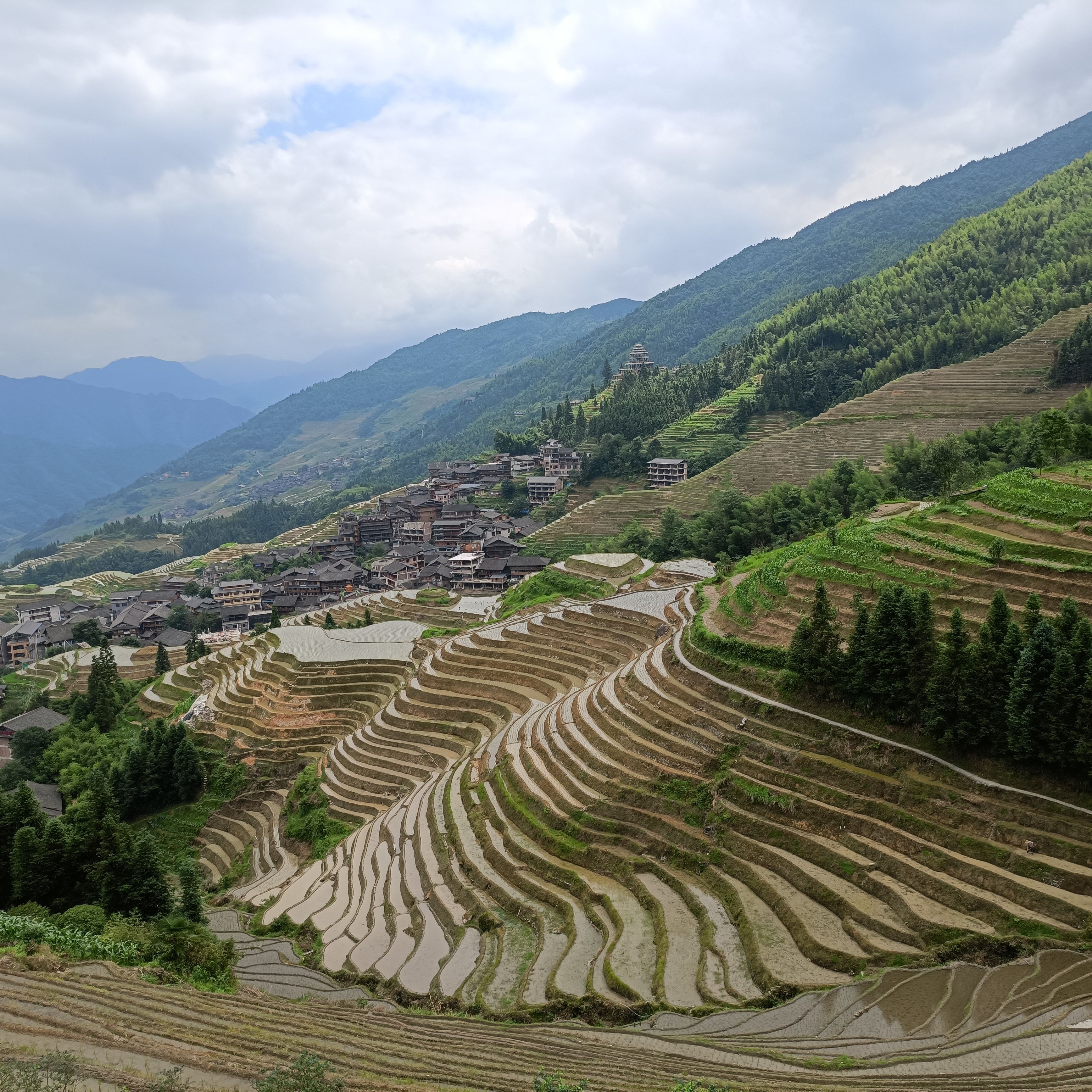 龙脊梯田门票(龙脊梯田门票图片)