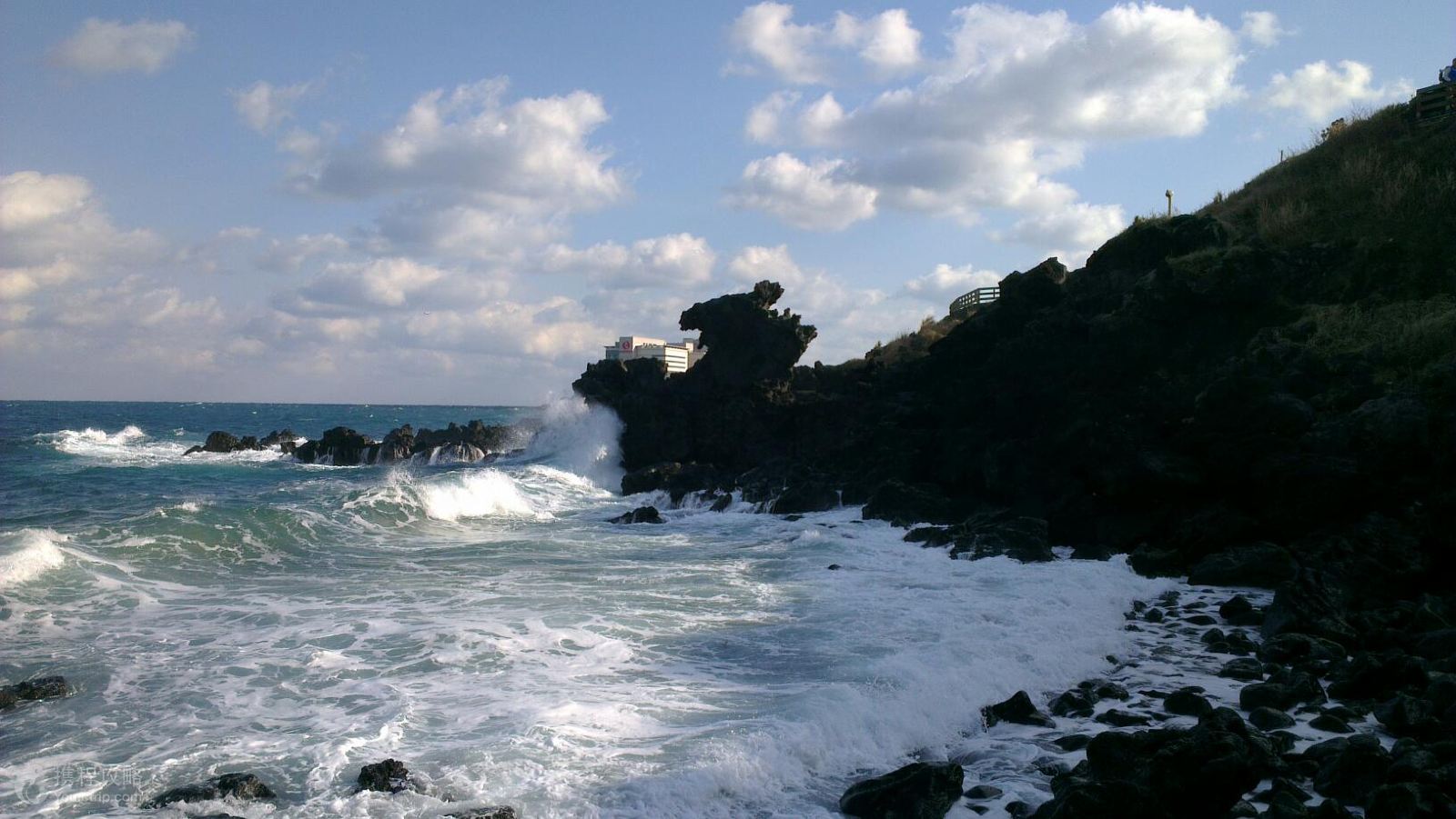 济州岛旅行(济州岛旅行5天要多少钱)