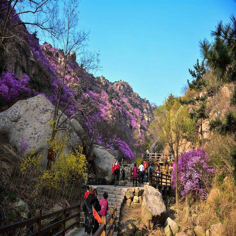 大珠山门票(大珠山门票免费政策)