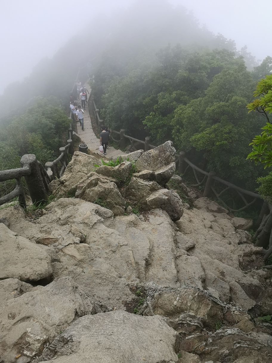 梧桐山好玩吗(梧桐山风景名胜区)