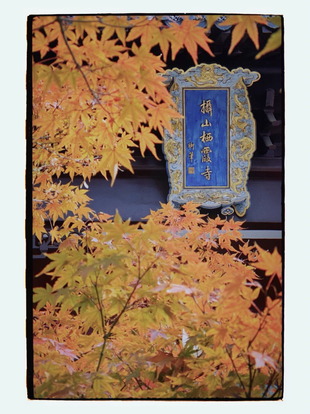 栖霞山门票(栖霞山门票免费)