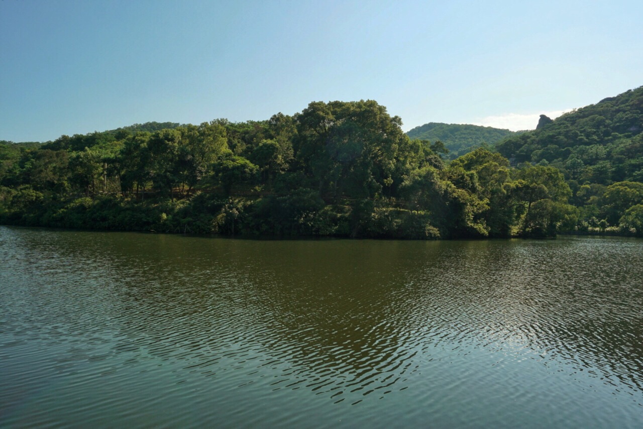 南澳黄花山国家森林公园(南澳黄花山国家森林公园时间)