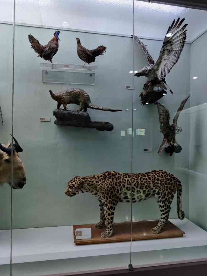 北京动物博物馆(北京动物博物馆在哪里)