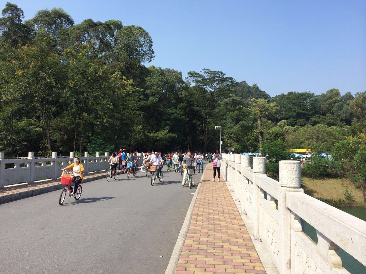 大夫山森林公园门票(大夫山森林公园介绍 景点)