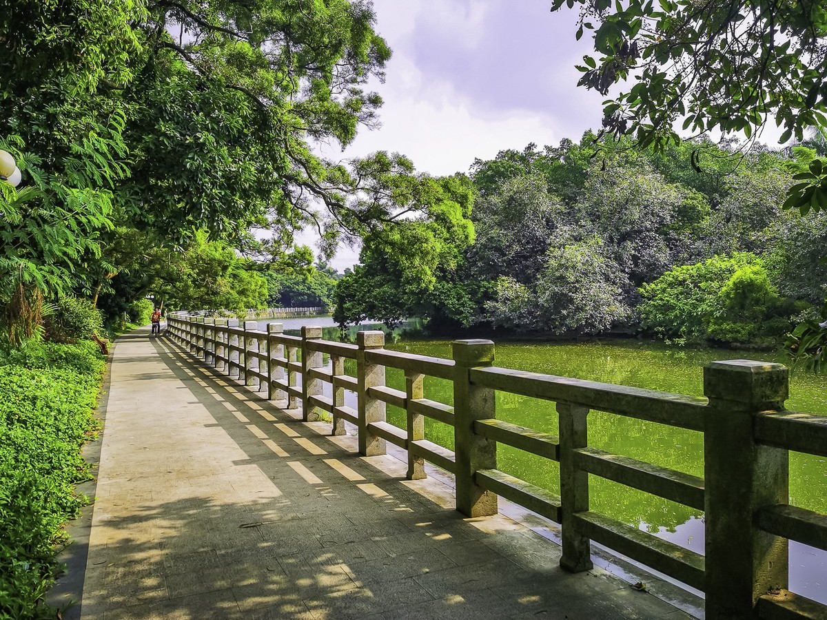 深圳东湖公园好玩吗(深圳东湖公园好玩吗值得去吗)