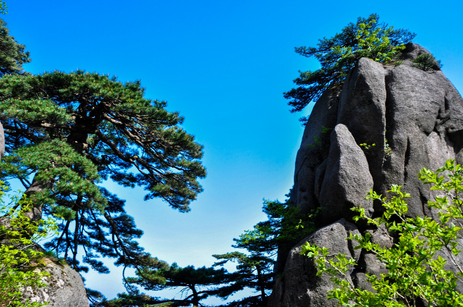 安徽黄山旅游报价(安徽黄山旅游景点攻略3天)