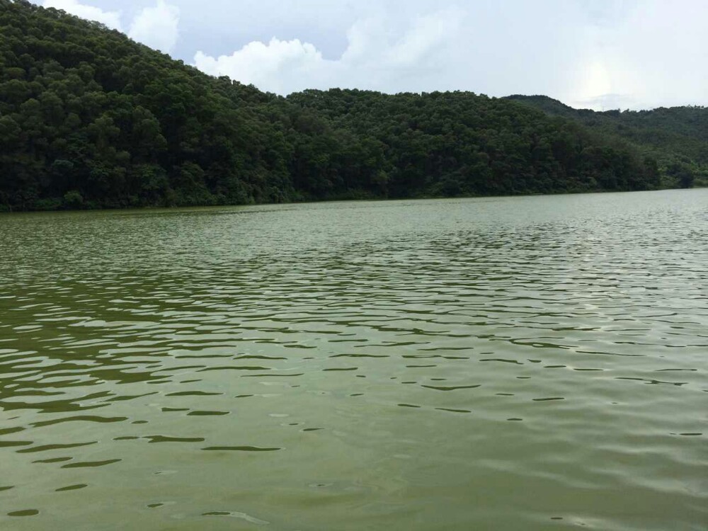 仙湖度假村(佛山市南海区仙湖度假区)