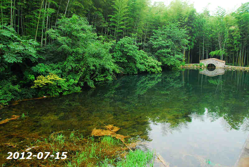 南京石塘竹海(南京石塘竹海乡村旅游度假区)